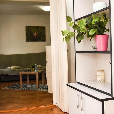 Apartment Kiwi Novi Sad Ngoại thất bức ảnh